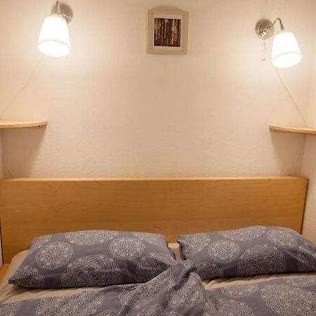 Gemuetliches 2P-Apartment In Ruhiger Lage 德累斯顿 外观 照片